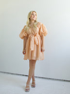 Lori Puff Sleeve Dress