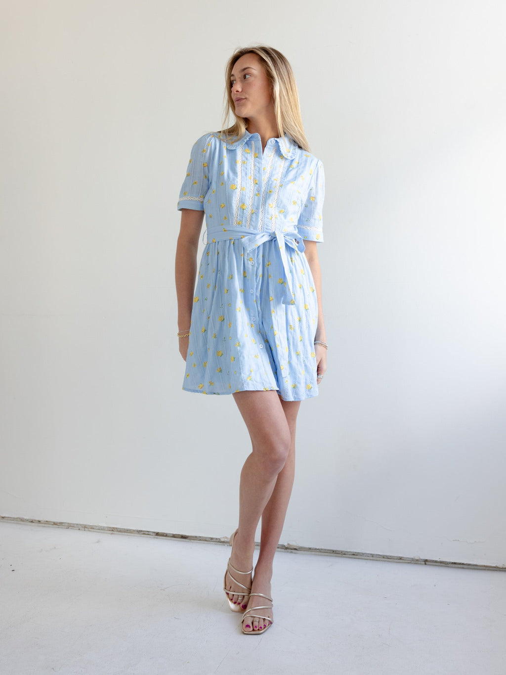 Madi Collared Mini Dress