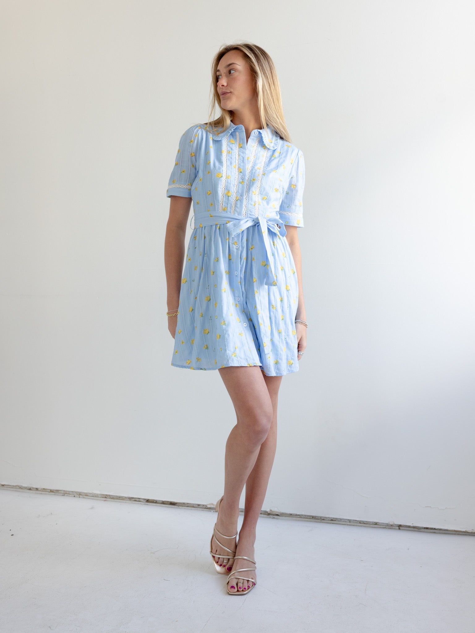 Madi Collared Mini Dress